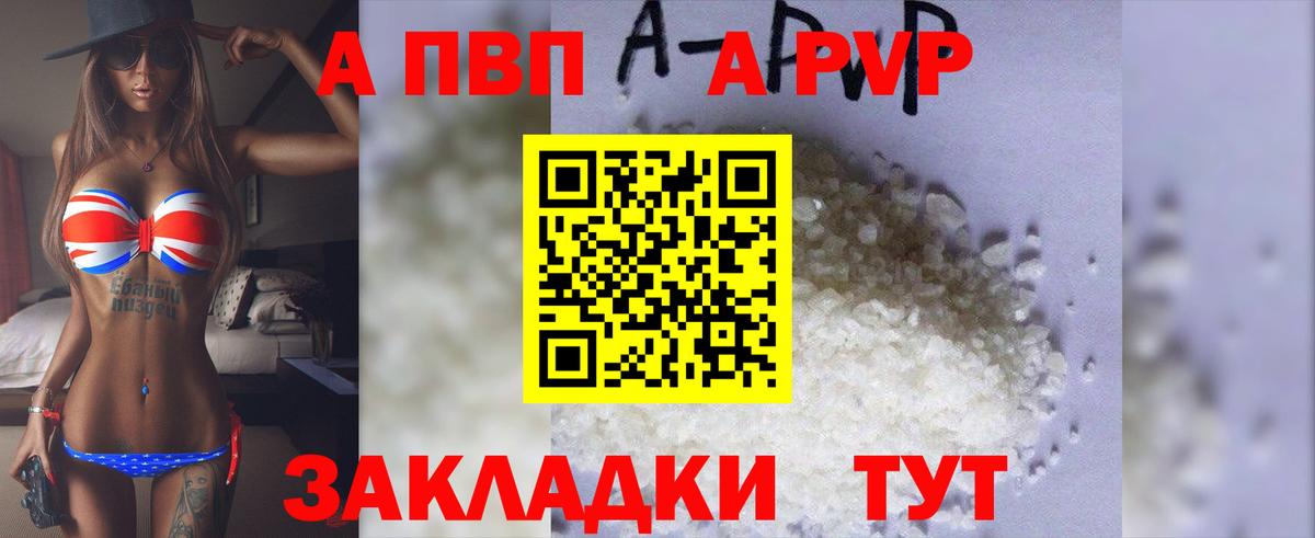 A-PVP СК КРИС Россошь